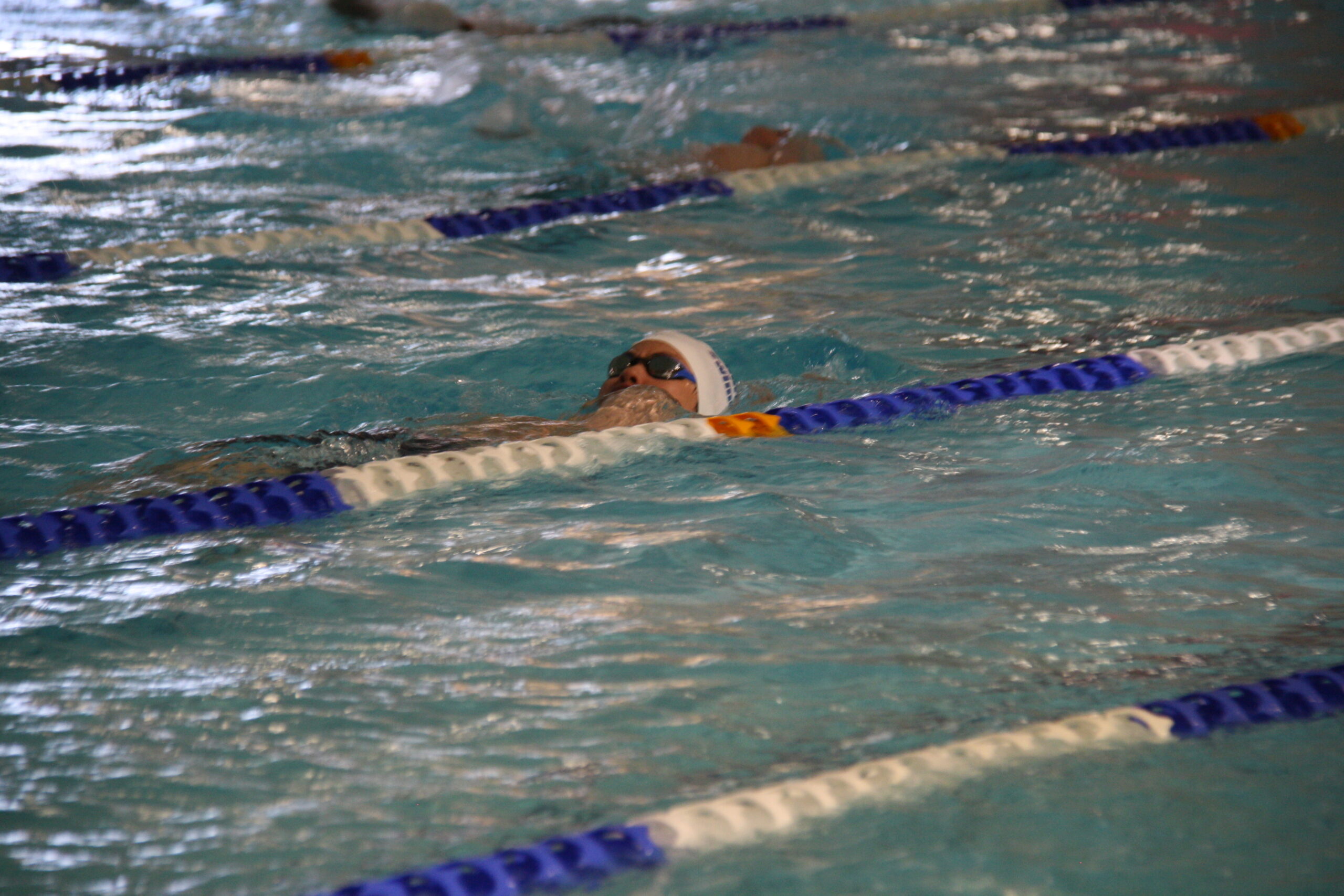 IMG_6133 https://www.harrowswim.club/wp-content/uploads/2026/07/IMG_6133-scaled.jpg